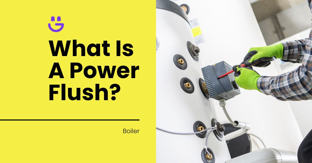 what is a power flush